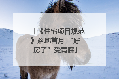 《住宅项目规范》落地首月 “好房子”受青睐