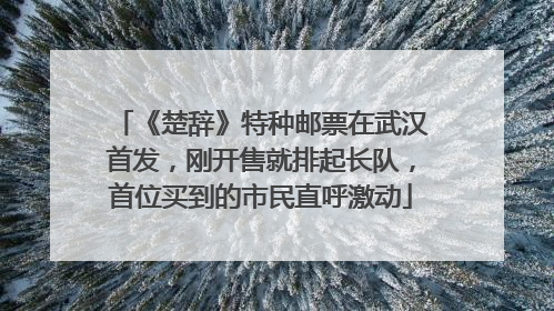 《楚辞》特种邮票在武汉首发，刚开售就排起长队，首位买到的市民直呼激动