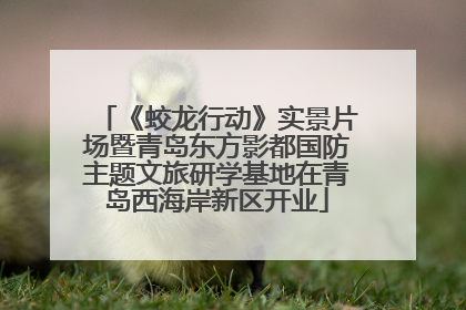《蛟龙行动》实景片场暨青岛东方影都国防主题文旅研学基地在青岛西海岸新区开业