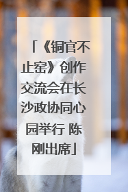 《铜官不止窑》创作交流会在长沙政协同心园举行 陈刚出席