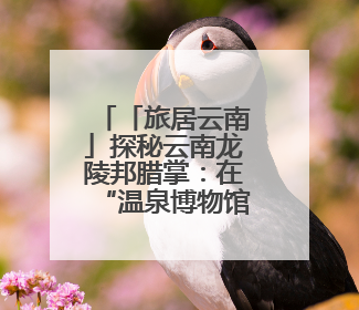 「旅居云南」探秘云南龙陵邦腊掌：在“温泉博物馆”里邂逅诗意康养生活