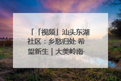 「视频」汕头东湖社区：乡愁归处 希望新生｜大美岭南·百村焕新记
