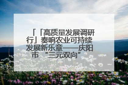 「高质量发展调研行」奏响农业可持续发展新乐章——庆阳市 “三元双向” 循环农业模式观察
