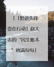 「黔进先锋·贵在行动」赵大志的“民生账本”画满勾勾