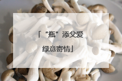 “瓶”添父爱 绿意寄情