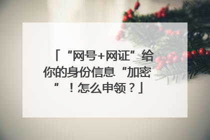 “网号+网证”给你的身份信息“加密”！怎么申领？