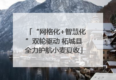“网格化+智慧化”双轮驱动 柘城县全力护航小麦夏收