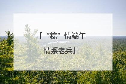 “粽”情端午 情系老兵