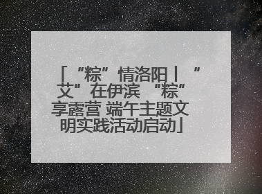 “粽”情洛阳丨“艾”在伊滨 “粽”享露营 端午主题文明实践活动启动