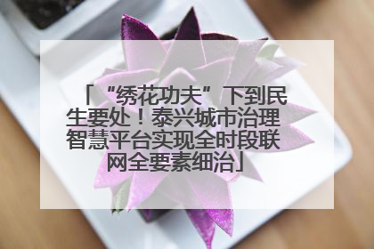 “绣花功夫”下到民生要处！泰兴城市治理智慧平台实现全时段联网全要素细治
