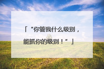 “你管我什么级别，能抓你的级别！”