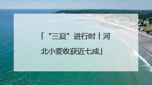 “三夏”进行时丨河北小麦收获近七成