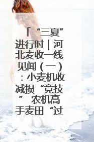 “三夏”进行时｜河北麦收一线见闻（一）：小麦机收减损“竞技” 农机高手麦田“过招”