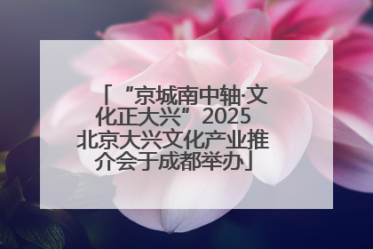 “京城南中轴·文化正大兴”2025北京大兴文化产业推介会于成都举办
