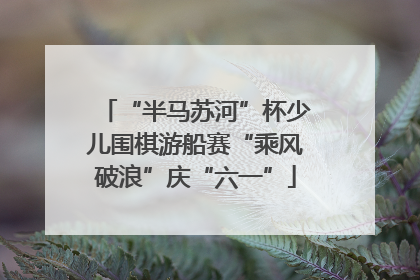 “半马苏河”杯少儿围棋游船赛“乘风破浪”庆“六一”