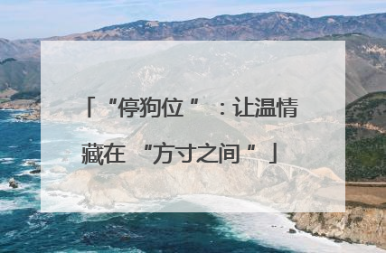 “停狗位 ”：让温情藏在 “方寸之间 ”