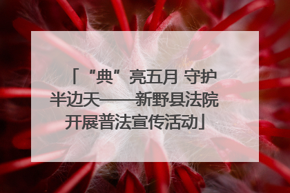 “典”亮五月 守护半边天——新野县法院开展普法宣传活动