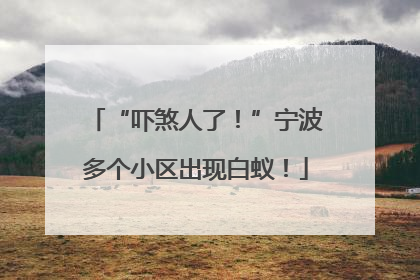 “吓煞人了！”宁波多个小区出现白蚁！