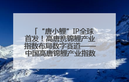 “唐小鲤”IP全球首发！高唐携锦鲤产业指数布局数字赛道——中国高唐锦鲤产业指数暨“唐小鲤”IP全球首发仪式在杭州举行