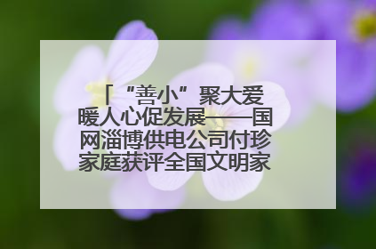 “善小”聚大爱 暖人心促发展——国网淄博供电公司付珍家庭获评全国文明家庭背后的文明密码
