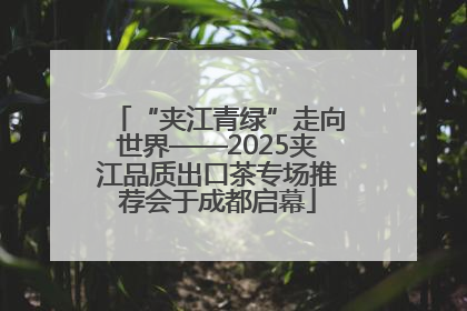 “夹江青绿”走向世界——2025夹江品质出口茶专场推荐会于成都启幕