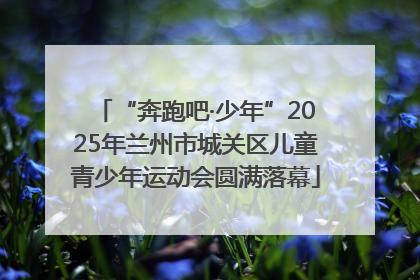“奔跑吧·少年”2025年兰州市城关区儿童青少年运动会圆满落幕