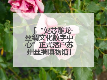 “彣芯雕龙·丝绸文化数字中心”正式落户苏州丝绸博物馆