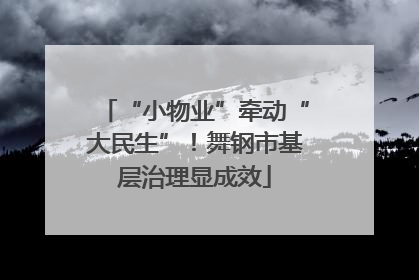 “小物业”牵动“大民生”！舞钢市基层治理显成效