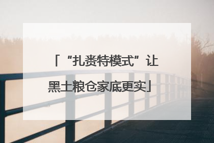 “扎赉特模式”让黑土粮仓家底更实