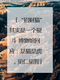 “招财猫”其实是一个熨斗 博物馆回应：是猫是虎，见仁见智