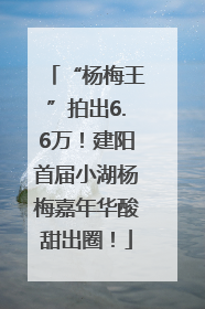 “杨梅王”拍出6.6万！建阳首届小湖杨梅嘉年华酸甜出圈！
