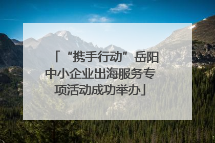 “携手行动”岳阳中小企业出海服务专项活动成功举办