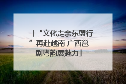 “文化走亲东盟行”再赴越南 广西邕剧粤韵展魅力