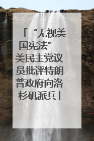 “无视美国宪法” 美民主党议员批评特朗普政府向洛杉矶派兵