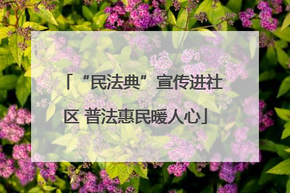 “民法典”宣传进社区 普法惠民暖人心