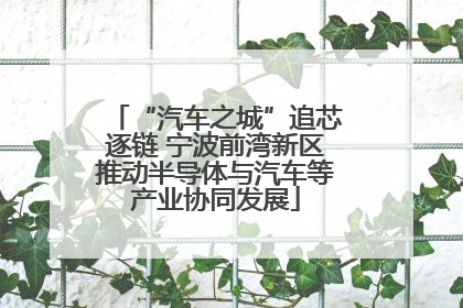 “汽车之城”追芯逐链 宁波前湾新区推动半导体与汽车等产业协同发展