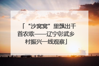 “沙窝窝”里飘出千首农歌——辽宁彰武乡村振兴一线观察