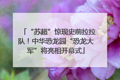 “苏超”惊现史前拉拉队！中华恐龙园“恐龙大军”将亮相开幕式