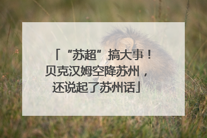 “苏超”搞大事！贝克汉姆空降苏州，还说起了苏州话