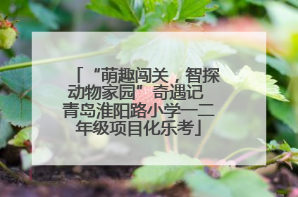 “萌趣闯关，智探动物家园”奇遇记 青岛淮阳路小学一二年级项目化乐考