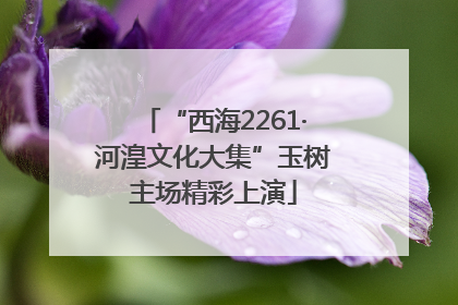 “西海2261·河湟文化大集”玉树主场精彩上演