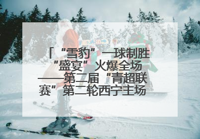 “雪豹”一球制胜 “盛宴”火爆全场——第二届“青超联赛”第二轮西宁主场比赛见闻