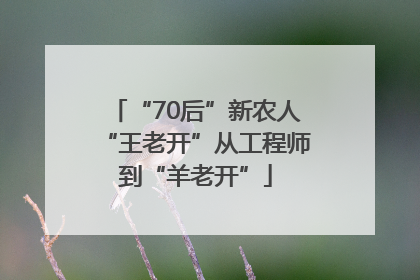 “70后”新农人“王老开”从工程师到“羊老开”