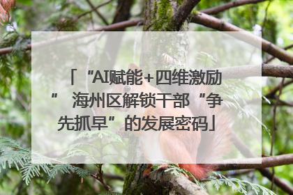 “AI赋能+四维激励” 海州区解锁干部“争先抓早”的发展密码