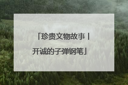 珍贵文物故事丨开诚的子弹钢笔