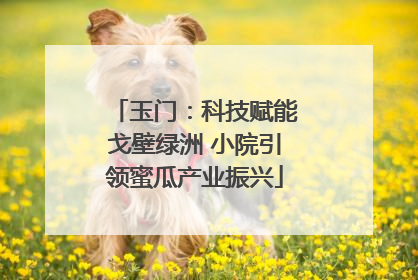 玉门：科技赋能戈壁绿洲 小院引领蜜瓜产业振兴