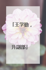 王学勤，升副部