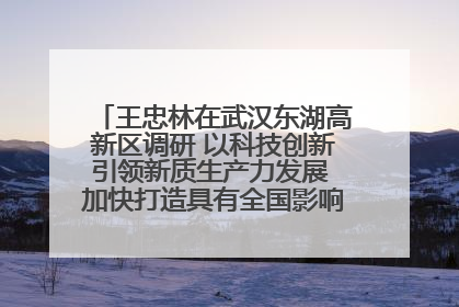 王忠林在武汉东湖高新区调研 以科技创新引领新质生产力发展 加快打造具有全国影响力的科技创新高地