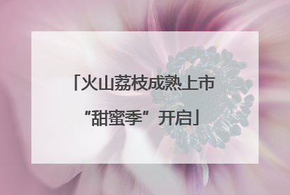 火山荔枝成熟上市 “甜蜜季”开启
