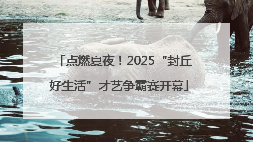 点燃夏夜！2025“封丘好生活”才艺争霸赛开幕